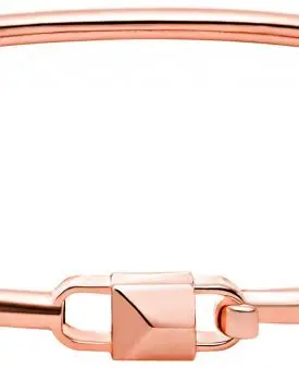 MICHAEL KORS Premium Armband i Rosé
